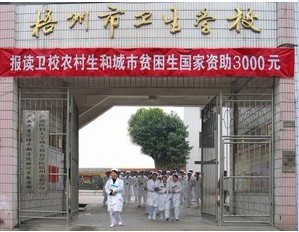 广西梧州市卫生学校 / 浏览次数图片